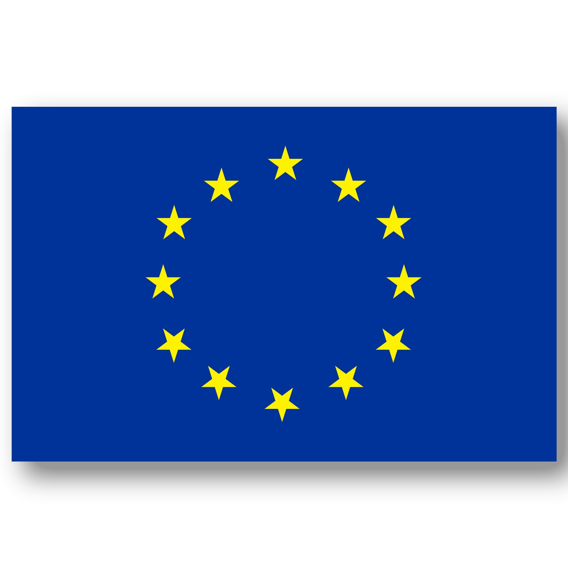 European Union Flag
